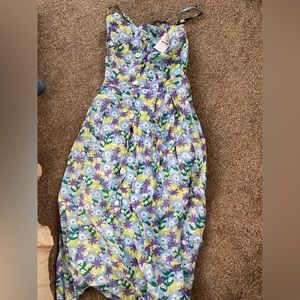 Rare cider medium dress